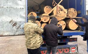 Кіровоградщина: Незаконно вивозили цінні кубометри